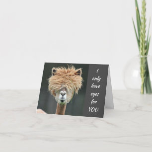 **SWEET LLAMA** WANTS TO SAY "MERRY CHRISTMAS" HOLIDAY CARD