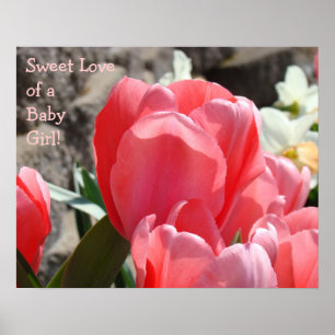 Sweet Love of Baby Girl art prints Pink Tulips