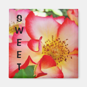 SWEET magnet gift Red White Pink Rose Flowers