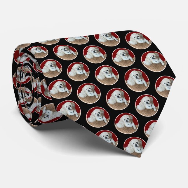 Sweet Malshi Black Neck Tie (Rolled)