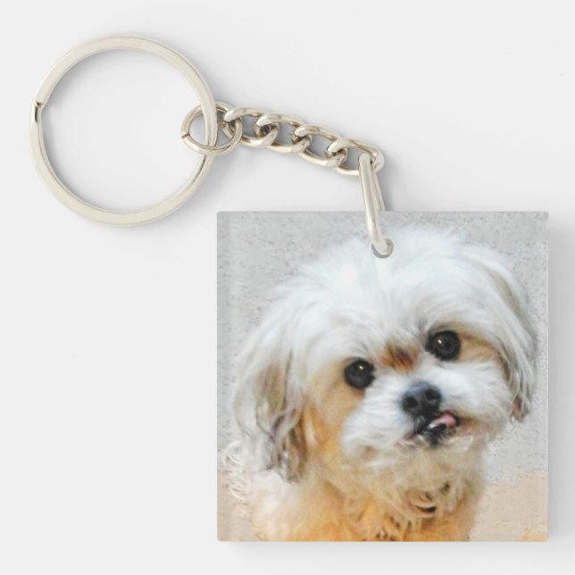 Sweet Malshi Double Sided Acrylic Keychain (Front)