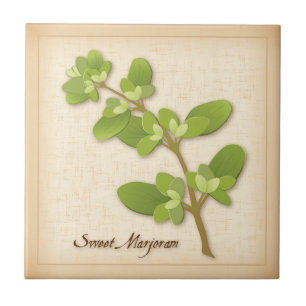 Sweet Marjoram Herb Ceramic Tile