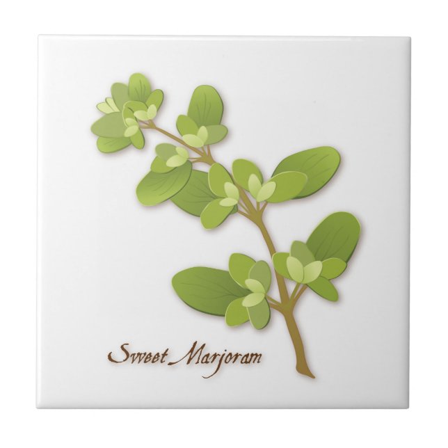 Sweet Marjoram Herb Ceramic Tile (Front)