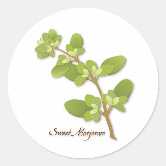 Sweet Marjoram Round Sticker (Front)