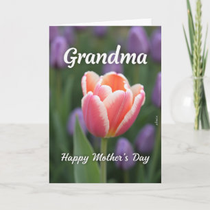 Sweet Mothers Day Tulip Bloom Card