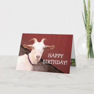 Sweet Nanny Goat Birthday Card