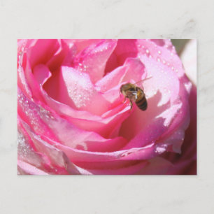 Sweet Nectar after a Light Rain Shower, Flower Bee Postcard