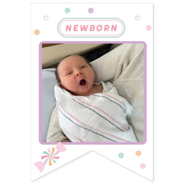 Sweet One MONTH BY MONTH FIRST BIRTHDAY banner! Bunting (Second Flag)