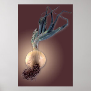 Sweet Onion Poster