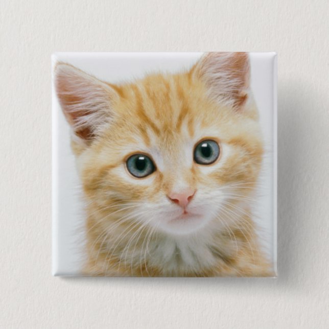 Sweet Orange Tabby 15 Cm Square Badge (Front)