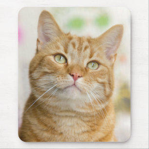 Sweet Orange Tabby Cat Mouse Pad