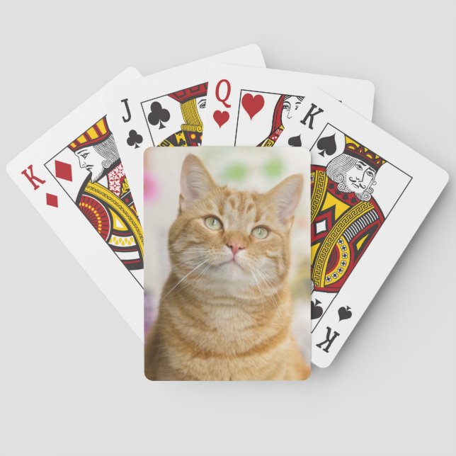Sweet Orange Tabby Cat Playing Cards (Back)