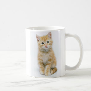 Sweet Orange Tabby Coffee Mug