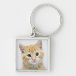 Sweet Orange Tabby Key Ring