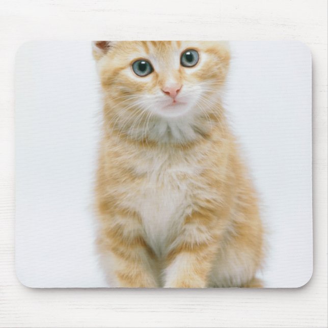 Sweet Orange Tabby Mouse Pad (Front)