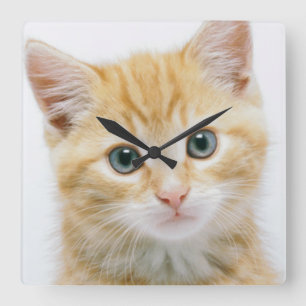 Sweet Orange Tabby Square Wall Clock