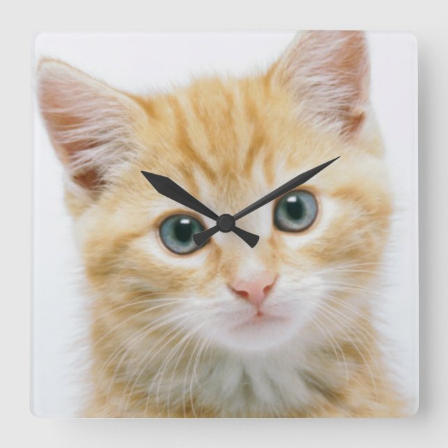 Sweet Orange Tabby Square Wall Clock (Front)