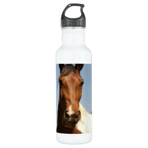 Sweet Paint Horse 710 Ml Water Bottle