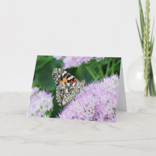 Sweet Painted Lady Card
