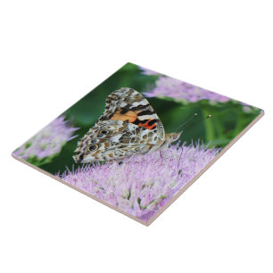 Sweet Painted Lady Ceramic Tile