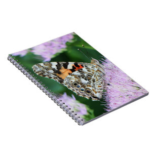 Sweet Painted Lady Notebook