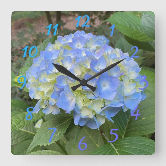 Sweet Pale Blue Mophead Hydrangea Numeral Clock (Front)