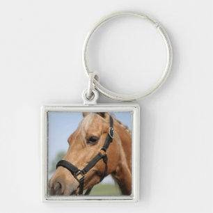 Sweet Palomino Keychain