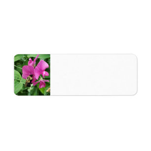 Sweet pea and bee address label return address label