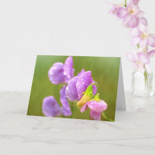 Sweet Pea And Rain Drops Birthday Card