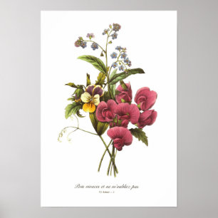 Sweet Pea and Viola Poster