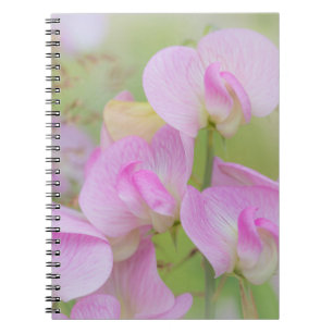 Sweet Pea Blossoms Seabeck, WA Notebook
