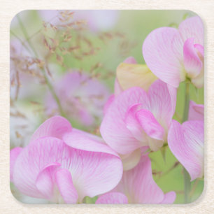 Sweet Pea Blossoms   Seabeck, WA Square Paper Coaster