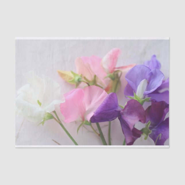 Sweet pea bouquet tissue paper (Front)