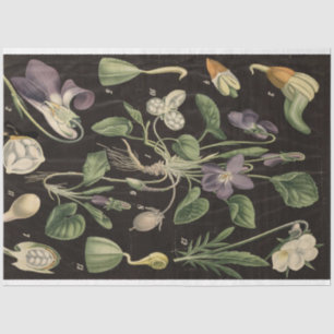 Sweet Pea Decoupage Paper