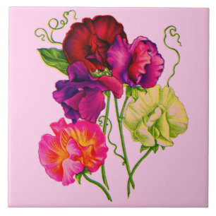 sweet pea flowers in purple and pink ceramic tile