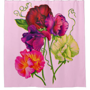 sweet pea flowers in purple and pink print shower curtain