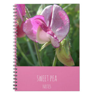 sweet pea notebook