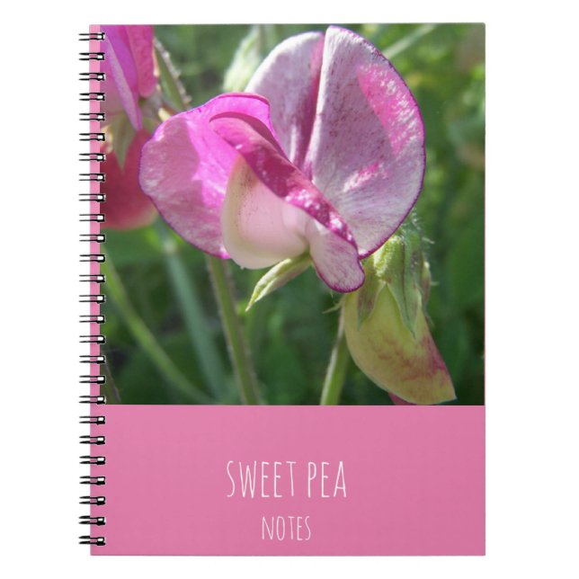 sweet pea notebook (Front)