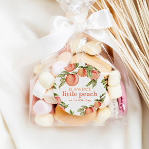 Sweet Peach Baby Shower Round Gift Favour Stickers