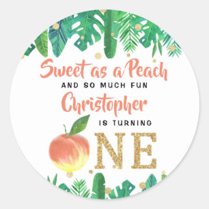 Sweet Peach Boys 1st Birthday Classic Round Sticker