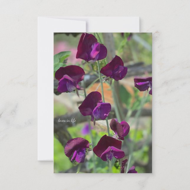 Sweet Peas Card (Front)