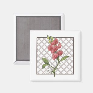 SWEET PEAS MAGNET