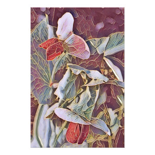SWEET PEAS PHOTO PRINT
