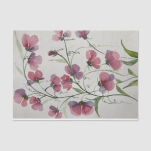Sweet Peas - Tissue Paper
