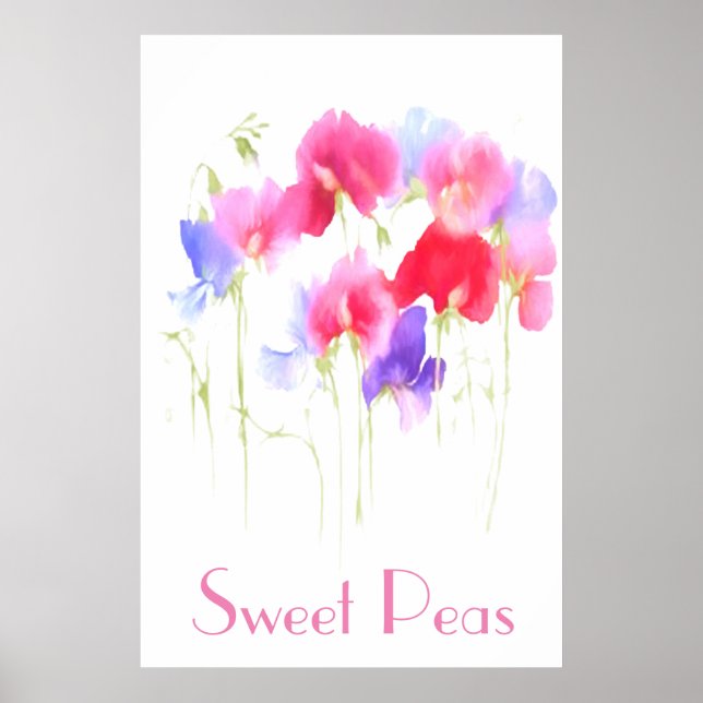 SWEET PEAS WATERCOLOUR STYLE POSTER (Front)