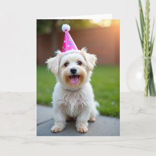 Sweet Pet Party Hat Card