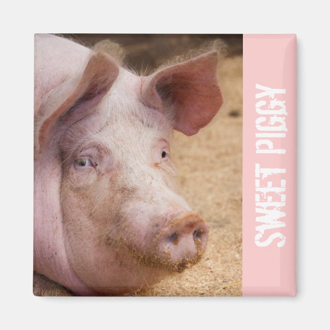 Sweet Piggy Magnet (Front)