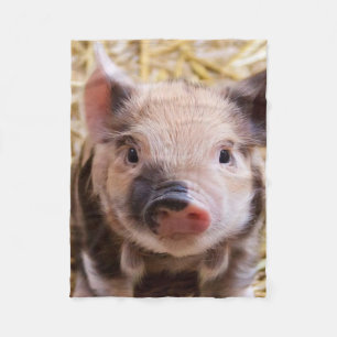 sweet piglet fleece blanket