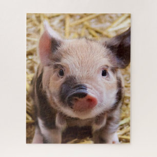 Sweet piglet jigsaw puzzle