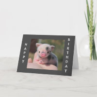 SWEET PIGLET SAY "HAPPY BIRTHDAY"